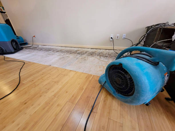 Professional Structural Drying technician working in Irondale, MO